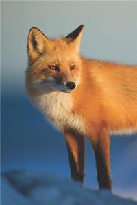 Fox Journal