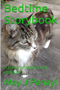 Bedtime Storybook