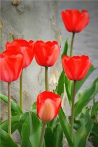 Tulips Notebook