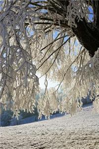 View from a Frost Covered Forest Journal
