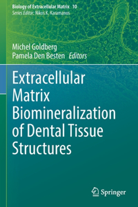 Extracellular Matrix Biomineralization of Dental Tissue Structures