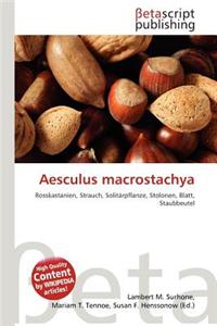 Aesculus Macrostachya