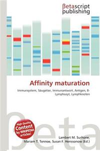 Affinity Maturation