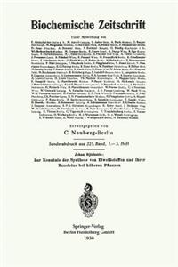 Zur Kenntnis Der Synthese Von Eiweißstoffen Und Ihrer Bausteine Bei Höheren Pflanzen