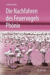 Die Nachfahren Des Feuervogels Phönix