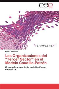 Organizaciones del Tercer Sector En El Modelo Caudillo-Patron