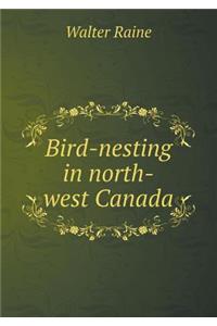 Bird-nesting in north-west Canada