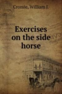Exercises on the side horse