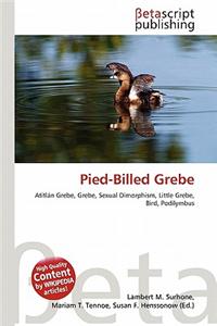 Pied-Billed Grebe