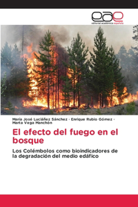 El efecto del fuego en el bosque