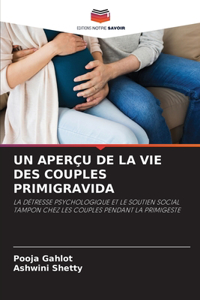 Un Aperçu de la Vie Des Couples Primigravida