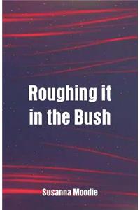 Roughing it in the Bush