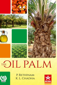 Oil Palm