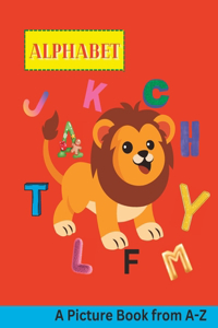 A to Z Picture Alphabet Book