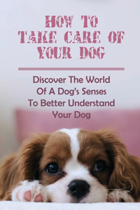 How To Take Care Of Your Dog