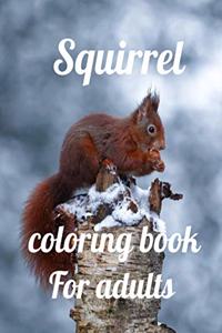 Squirrel coloring book for adults: A Coloring Book of 35 Unique Stress Relief Squirrel Coloring Book Designs Paperback