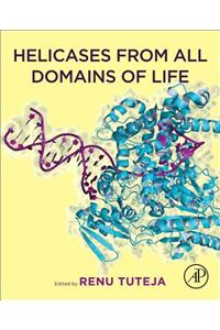 Helicases from All Domains of Life