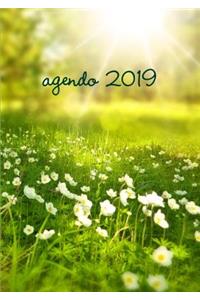 Inspira Kaj Motiviga Agendo 2019