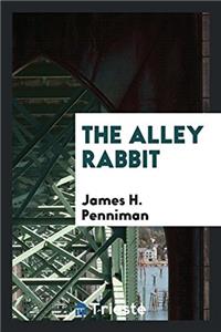 The alley rabbit