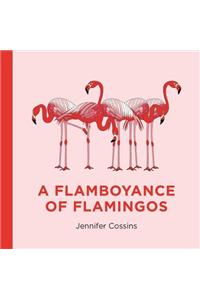 Flamboyance of Flamingos