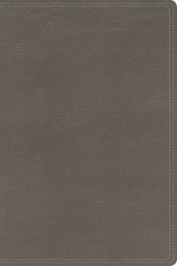 Nbla Biblia Mi Legado, Leathersoft, Gris, Una Columna, Interior a DOS Colores