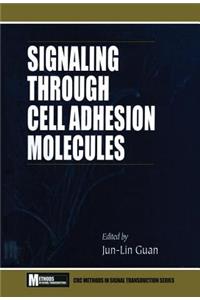 Signaling Through Cell Adhesion Molecules