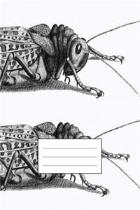 Notizbuch für Kreative