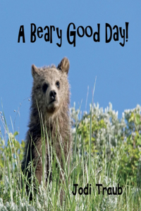 Beary Good Day