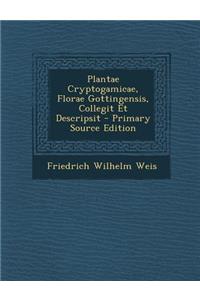 Plantae Cryptogamicae, Florae Gottingensis, Collegit Et Descripsit