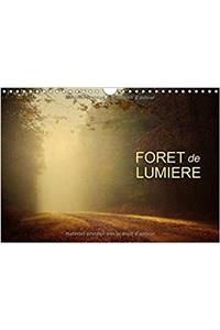 Foret De Lumiere 2017