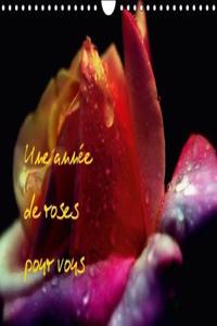 Une Annee De Roses Pour Vous 2018
