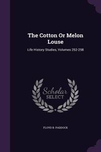 The Cotton or Melon Louse