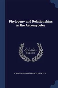 Phylogeny and Relationships in the Ascomycetes