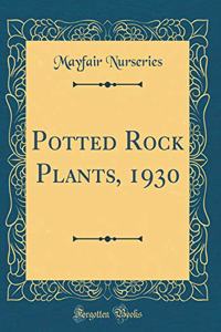 Potted Rock Plants, 1930 (Classic Reprint)