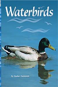 Rigby Flying Colors: Individual Student Edition Blue Waterbirds