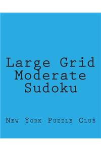 Large Grid Moderate Sudoku