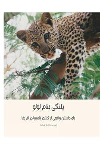 Lulu The Leopard (Persian): Based on a true Okambara story