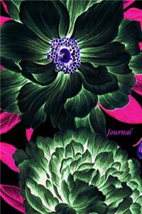 Journal
