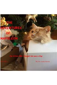 The Adventures of Napoleon