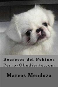 Secretos del Pekines