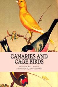 Canaries and Cage Birds