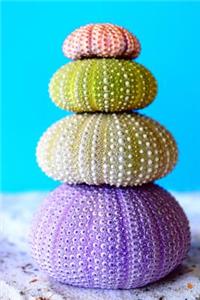 Colorful Sea Urchins in the Sand Journal
