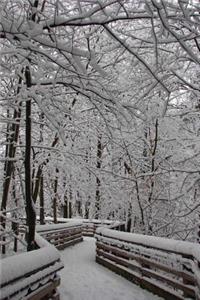 A Snowy Day in the Park Journal