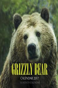 Grizzly Bear Calendar 2017