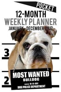 2017 Pocket Weekly Planner - Most Wanted Bulldog