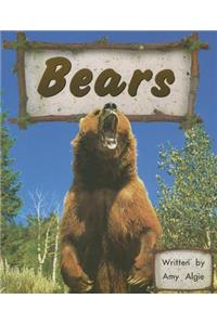 Bears (Stlr Sml USA)
