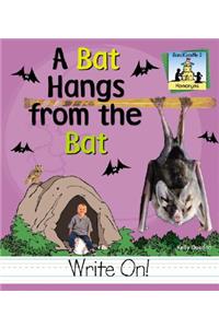 Bat Hangs from the Bat