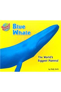 Blue Whale