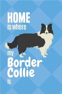 Home is where my Border Collie is