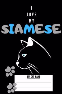 Siamese Cat